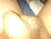 Volstruis