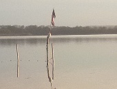 Disto