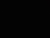 Rose6751
