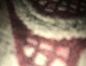 Sasnla