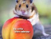Itsluquis