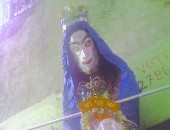 Barrybeldaotogatela