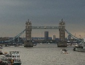 Patochelondon