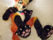 FurfagBear