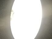 Damianch8