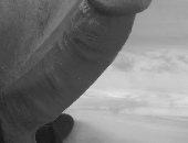 Hurnibui
