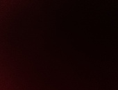 Niller328